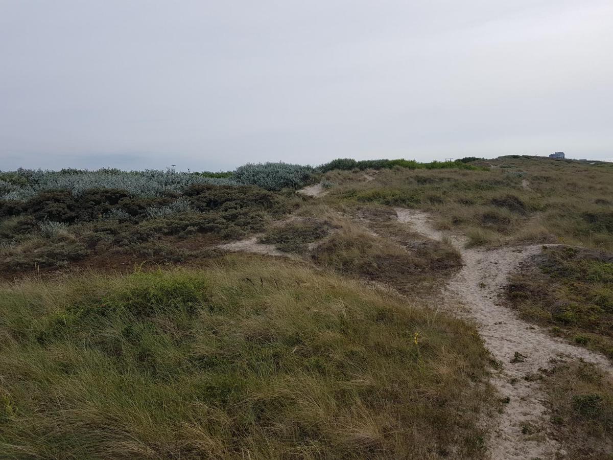 Seacottage Blankenberge - Wenduine De Haan Εξωτερικό φωτογραφία