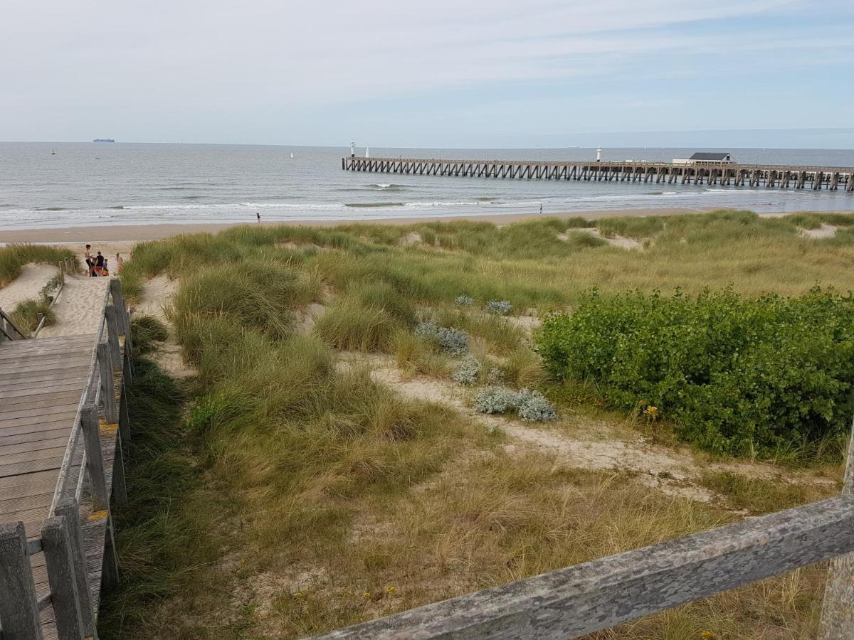 Seacottage Blankenberge - Wenduine De Haan Εξωτερικό φωτογραφία